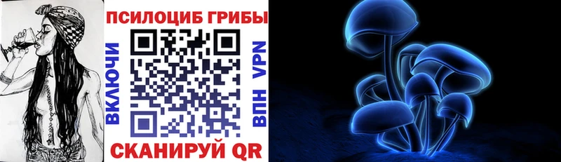 Купить  Советская Гавань  Галлюциногенные грибы MAGIC MUSHROOMS 